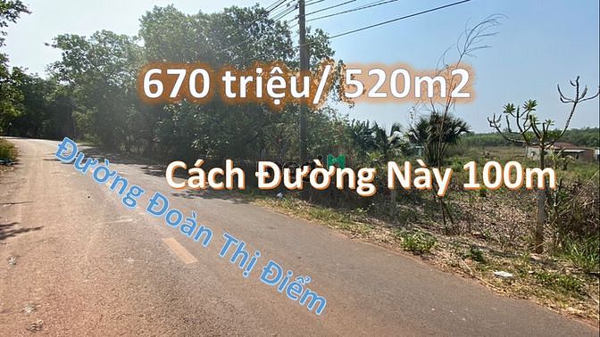 3828454 ảnh đại diện 1