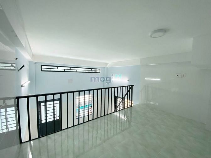 3834446 ảnh đại diện 1