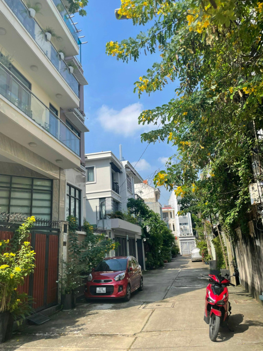 3832978 ảnh đại diện 1
