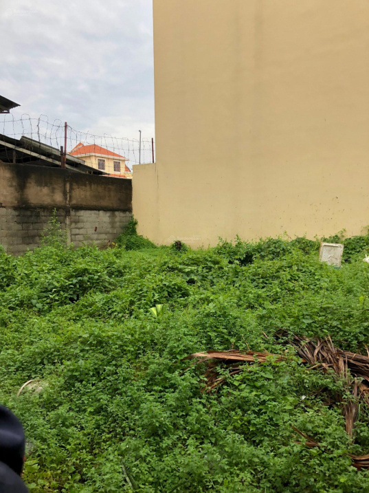 3832978 ảnh đại diện 1