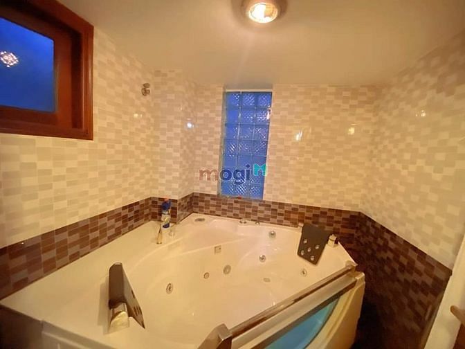 3832887 ảnh đại diện 1
