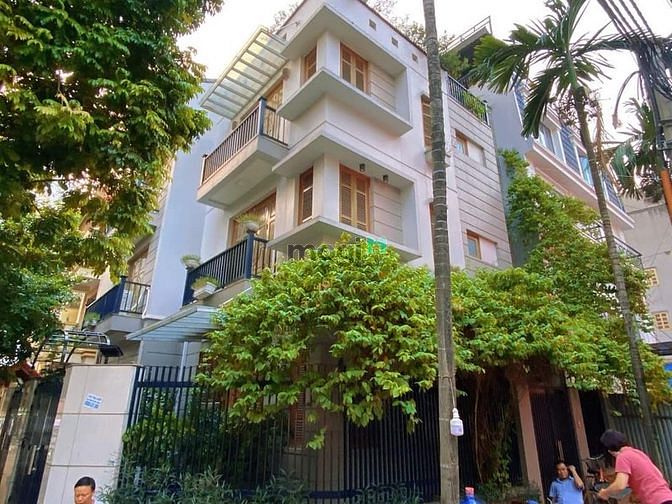 3832887 ảnh đại diện 2