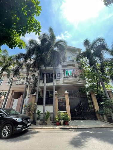 3838118 ảnh đại diện 1