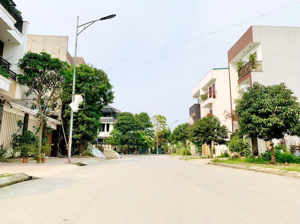 3835910 ảnh đại diện 1