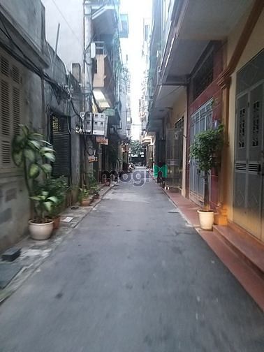3835135 ảnh đại diện 1