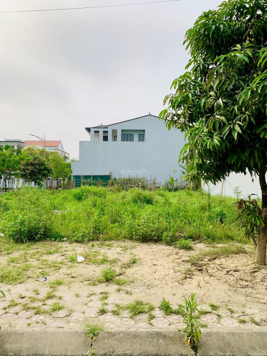 3835910 ảnh đại diện 1