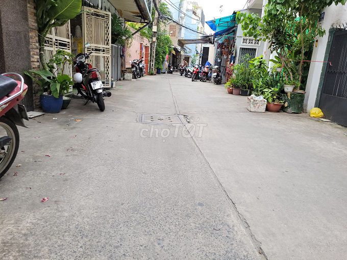 3835858 ảnh đại diện 1