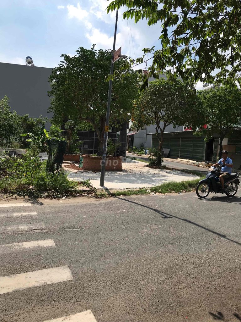 3838703 ảnh đại diện 2
