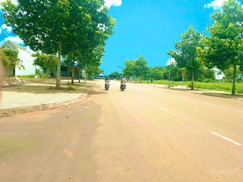 3843460 ảnh đại diện 2