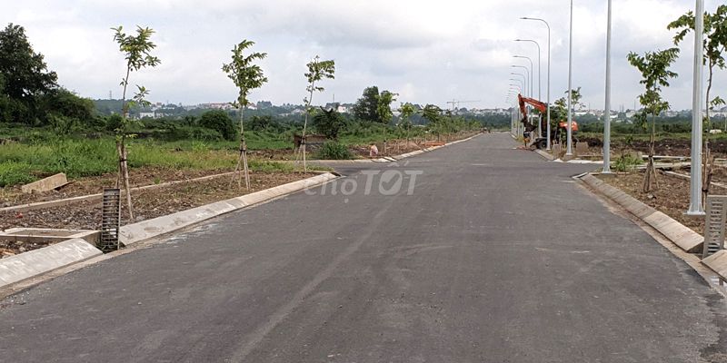 3839793 ảnh đại diện 2