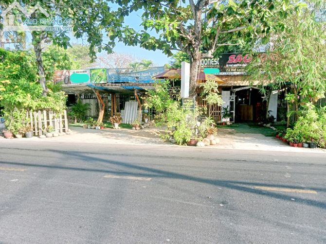 3841247 ảnh đại diện 1