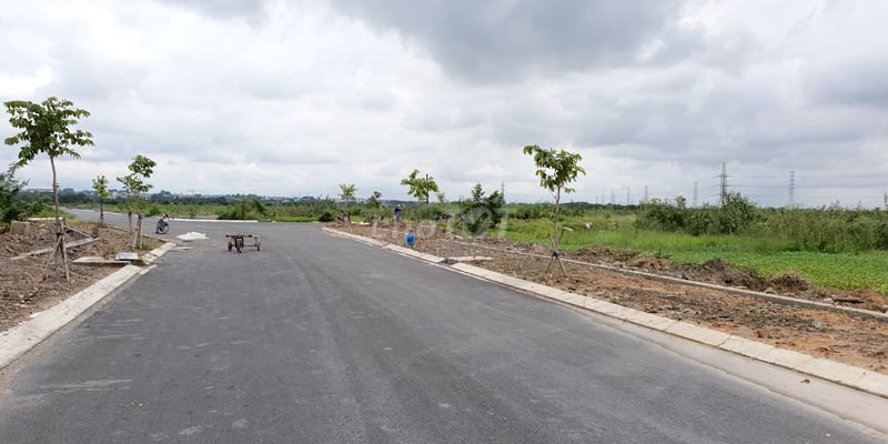 3839793 ảnh đại diện 1