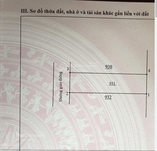 3843446 ảnh đại diện 1