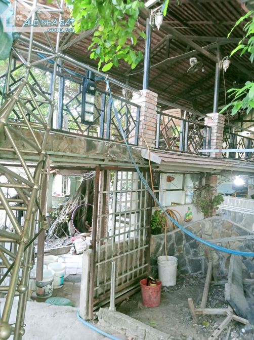 3841247 ảnh đại diện 1
