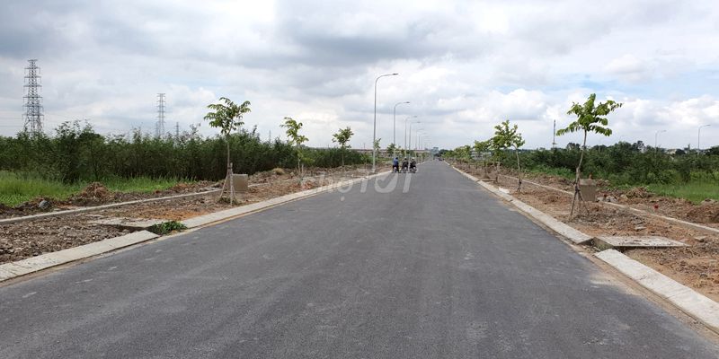 3839793 ảnh đại diện 1