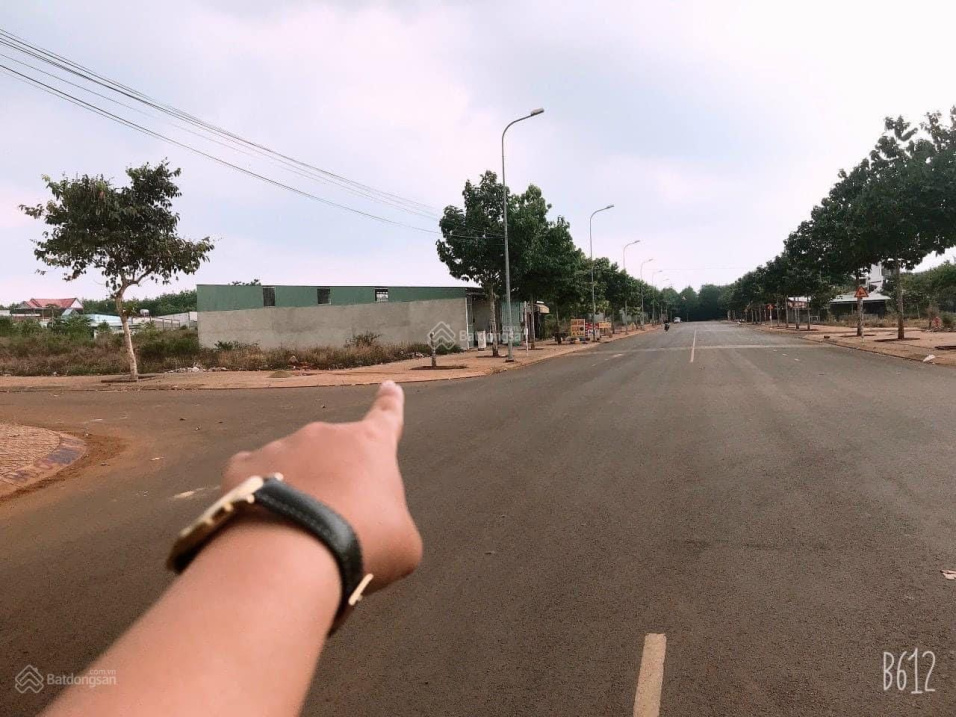 3843446 ảnh đại diện 1