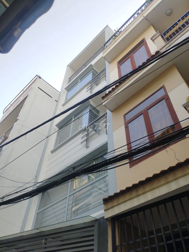 3841847 ảnh đại diện 1