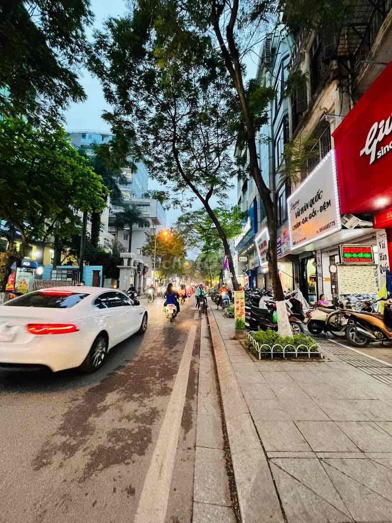 3841356 ảnh đại diện 1