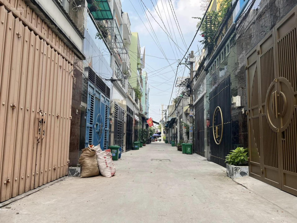 3841189 ảnh đại diện 1