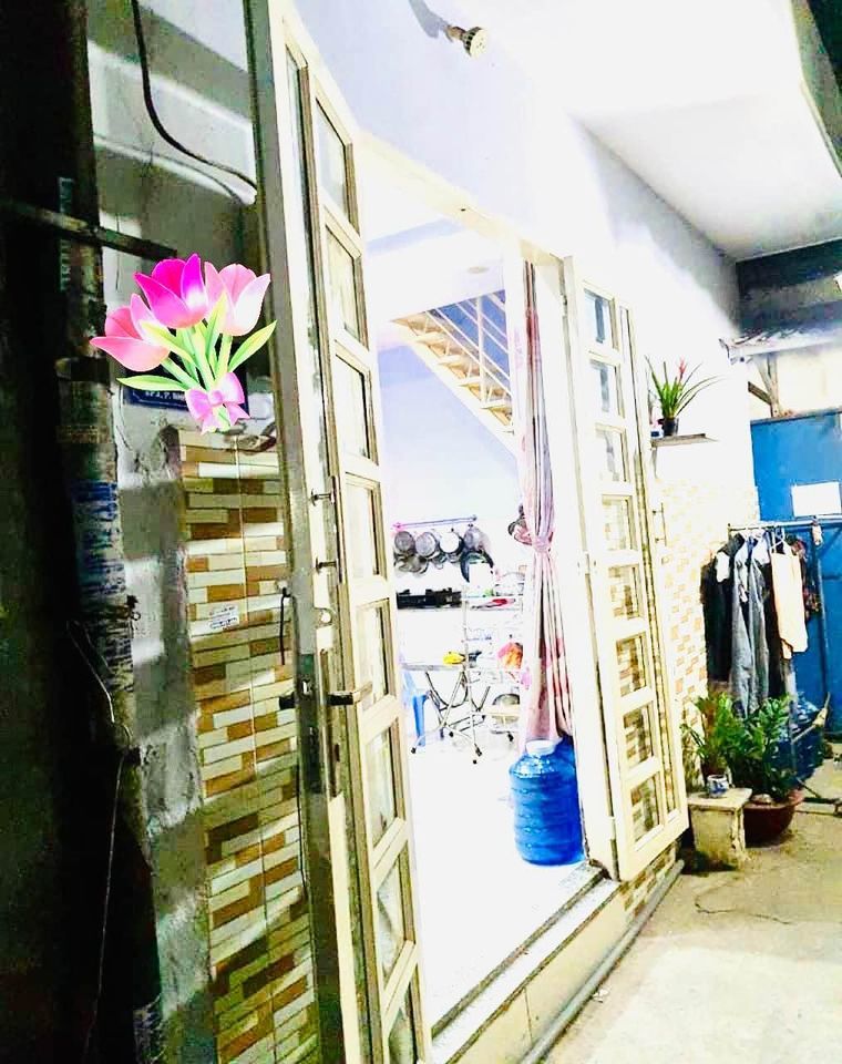 3841607 ảnh đại diện 1