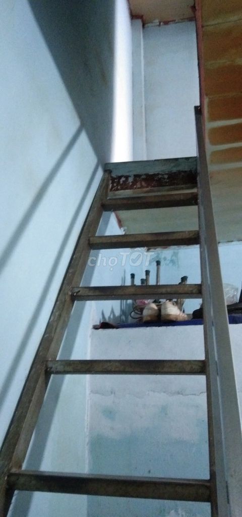3845243 ảnh đại diện 2