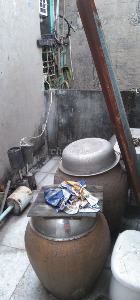 3845243 ảnh đại diện 1