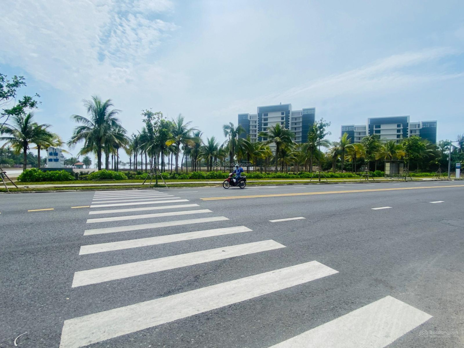 3847761 ảnh đại diện 1