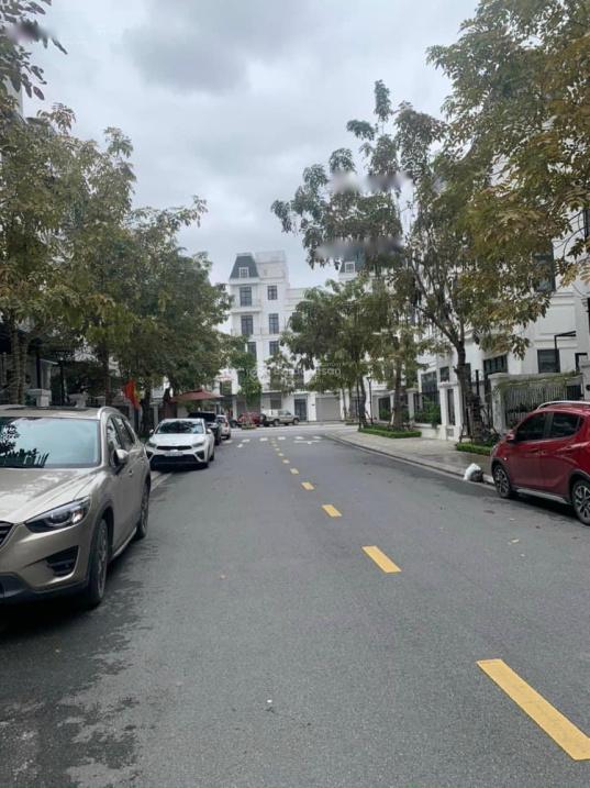 3849013 ảnh đại diện 1