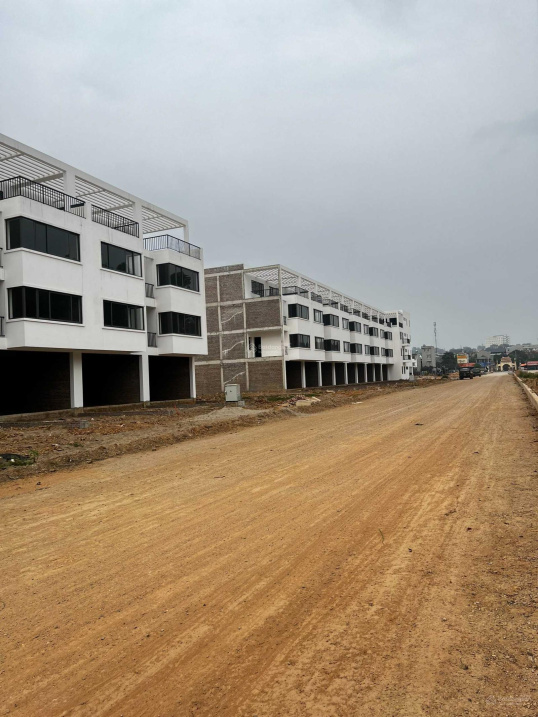 3846269 ảnh đại diện 2
