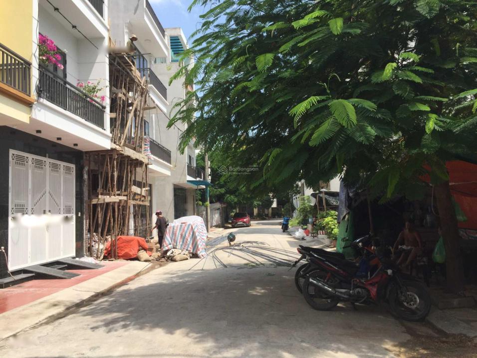 3847346 ảnh đại diện 1