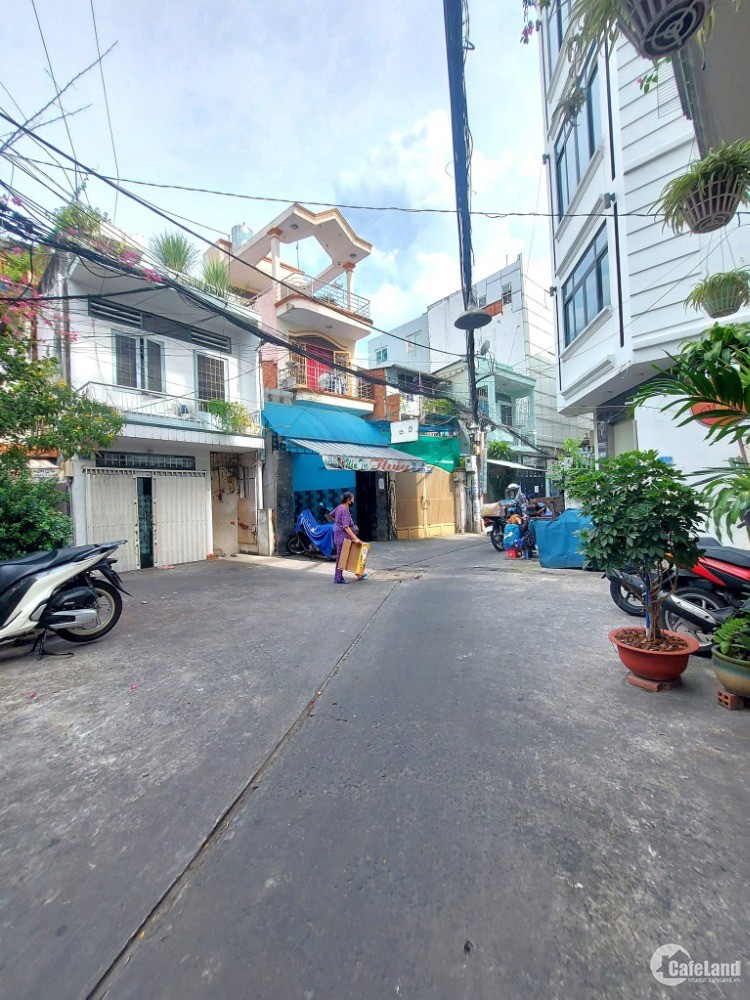 3844512 ảnh đại diện 1