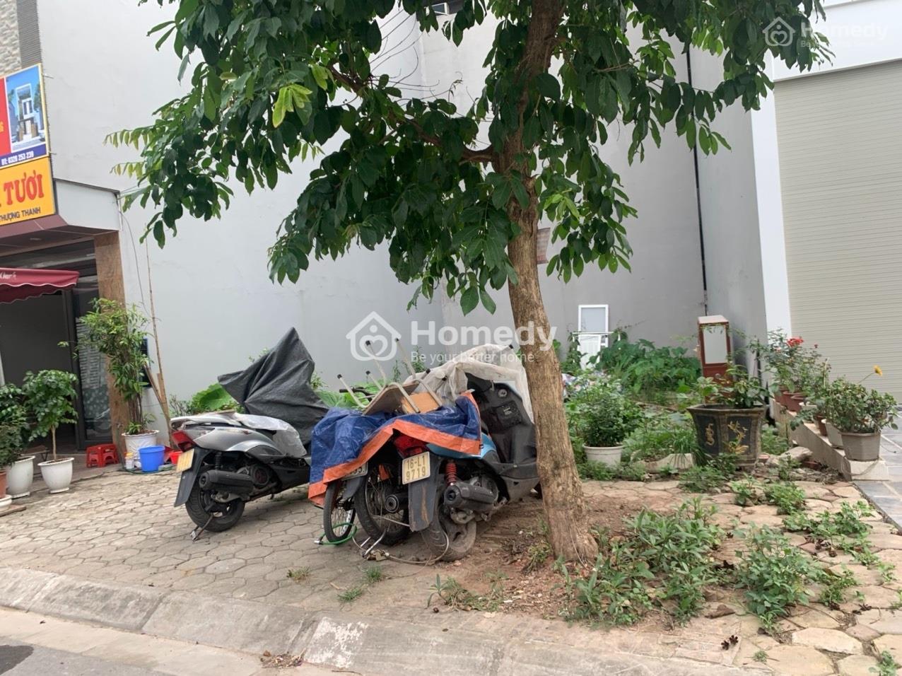 3847152 ảnh đại diện 1