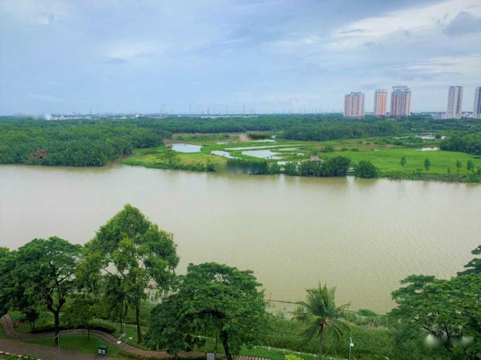 Sở Hữu Ngay Căn Hộ The Panorama, 3 Phòng Ngủ, 146 M2, Giá 9.5 Tỷ Tại 7 - Tp Hồ Chí Minh