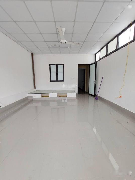 3849308 ảnh đại diện 2