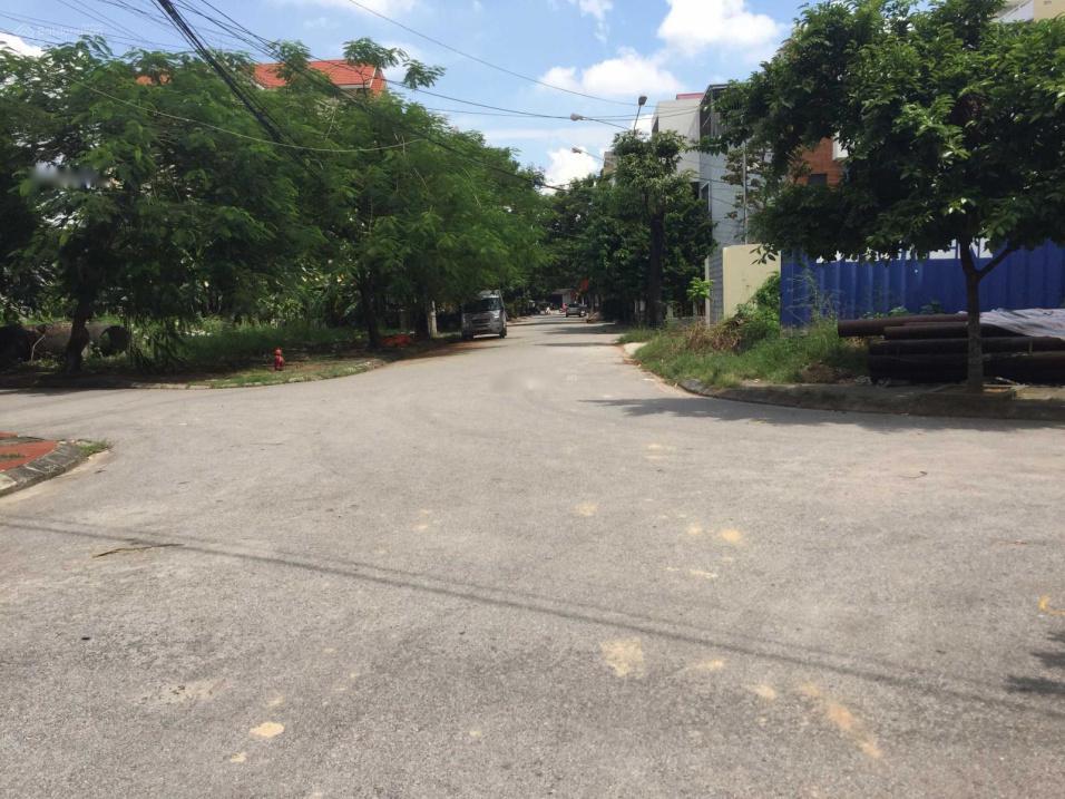 3847346 ảnh đại diện 2