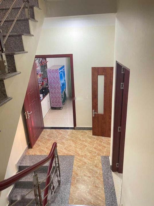 3847363 ảnh đại diện 1