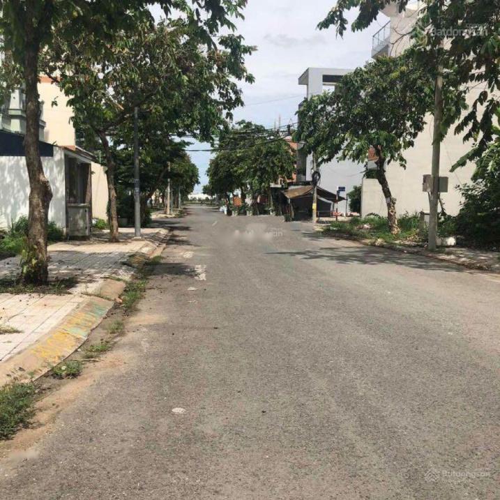 3847148 ảnh đại diện 1