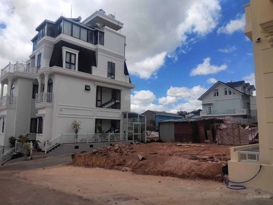 3849537 ảnh đại diện 2