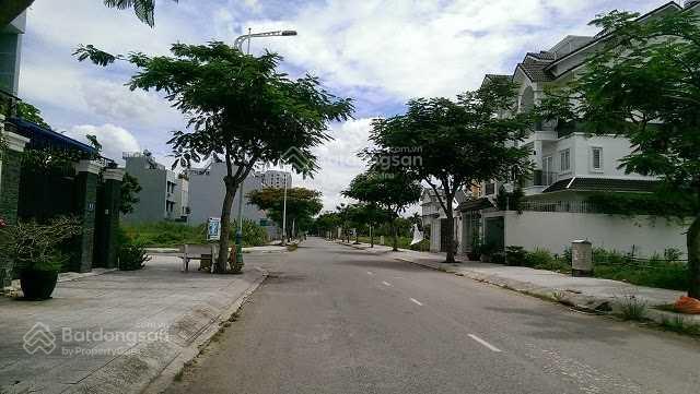 3847516 ảnh đại diện 1