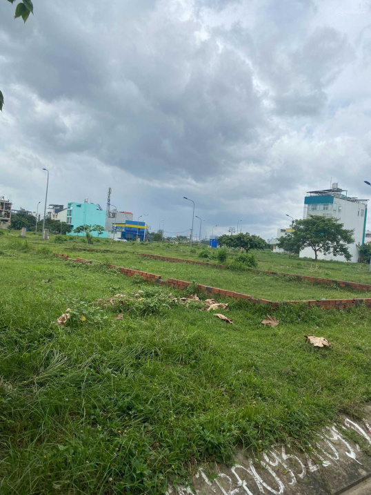 3847521 ảnh đại diện 2