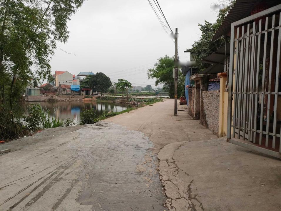 3856828 ảnh đại diện 1
