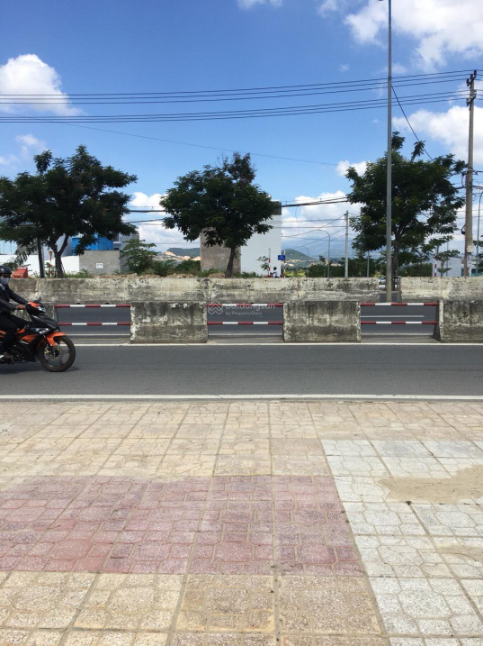 3851150 ảnh đại diện 1