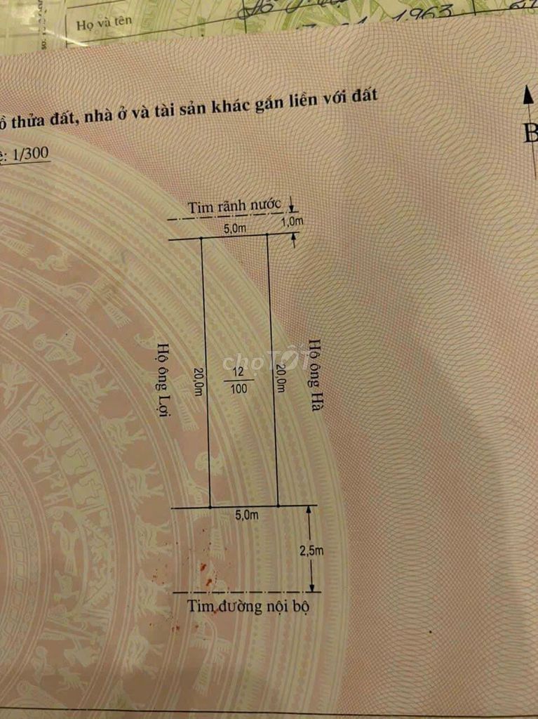 3855203 ảnh đại diện 2