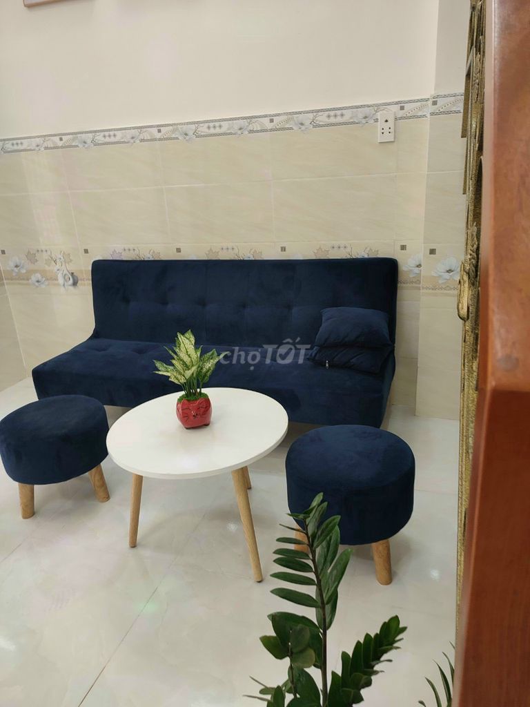 3852231 ảnh đại diện 1