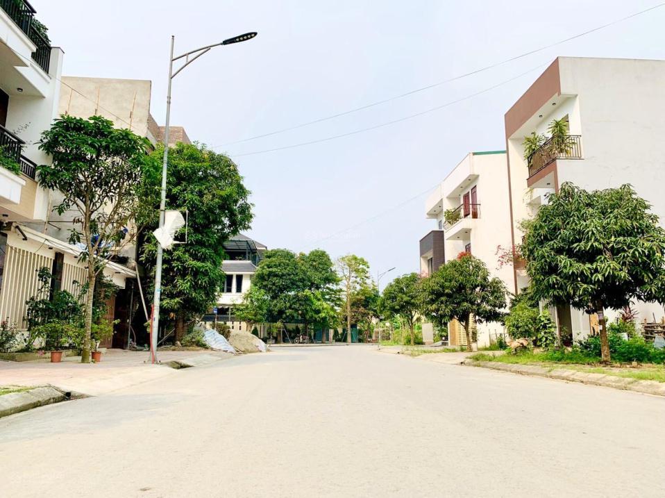 3850953 ảnh đại diện 1
