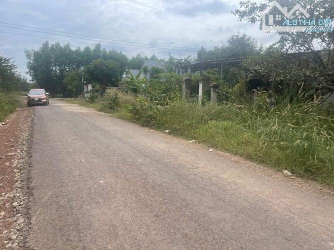 3858841 ảnh đại diện 1