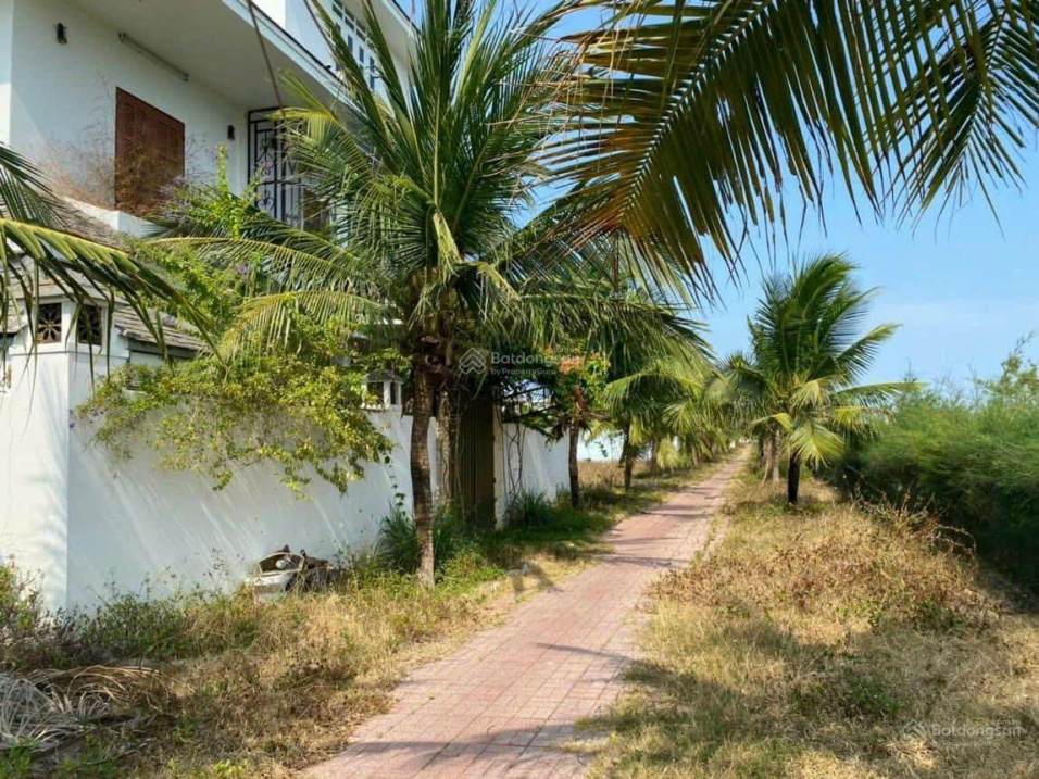 3861241 ảnh đại diện 2