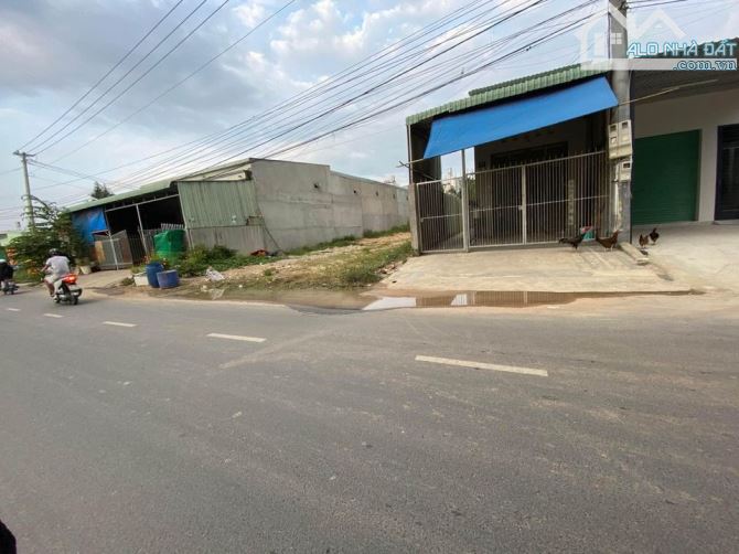 3858837 ảnh đại diện 1