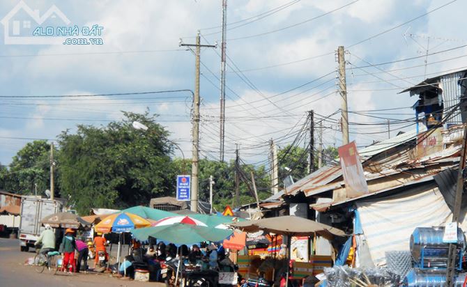 3858834 ảnh đại diện 2