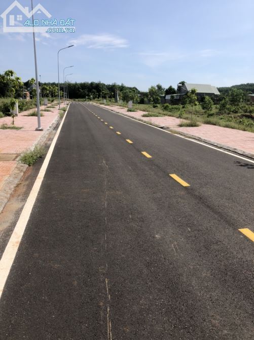 3858857 ảnh đại diện 1
